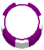 Chip Purple